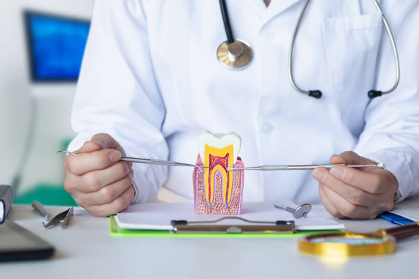 Best Emergency Wisdom Teeth Removal in Day Valley, CA